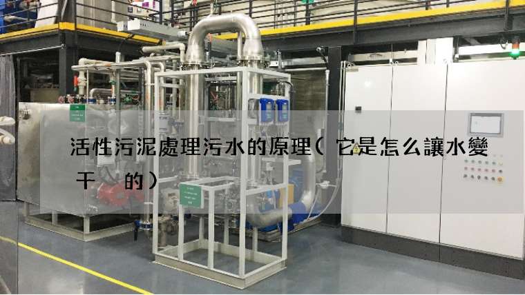 活性污泥處理污水的原理(它是怎么讓水變干凈的)
